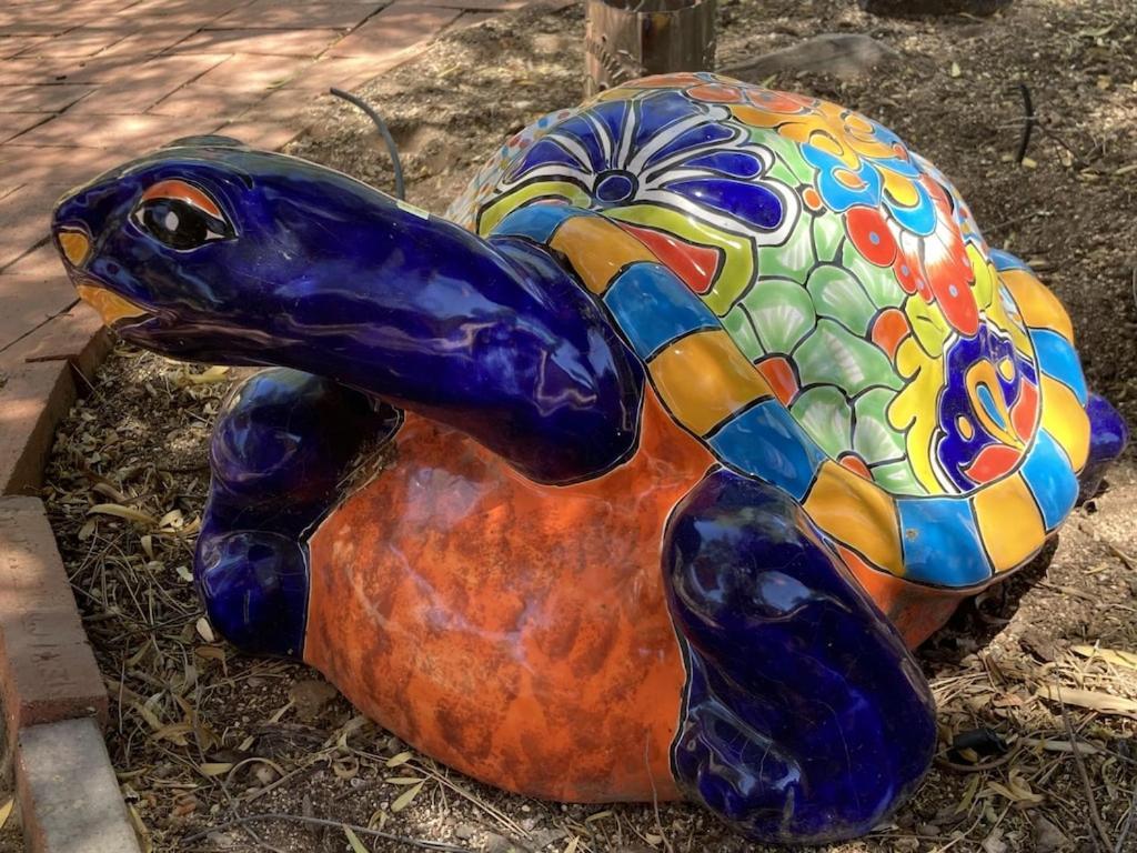 Casa Azul - Cute Centrally Located Adobe With Large Fenced Outdoor Living For Pets And Adults, Non-Smoking Tucson Exterior foto